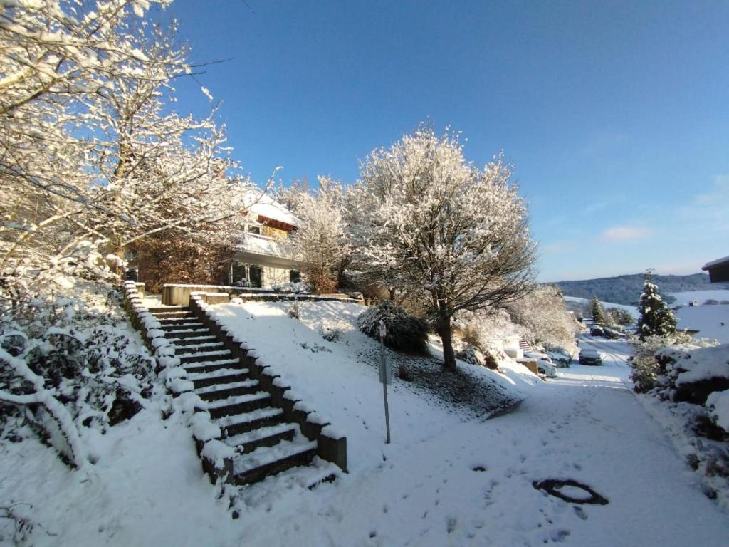 gemütliche Wohnung mit Kamin - Sunny Hill Holiday Home photo 3
