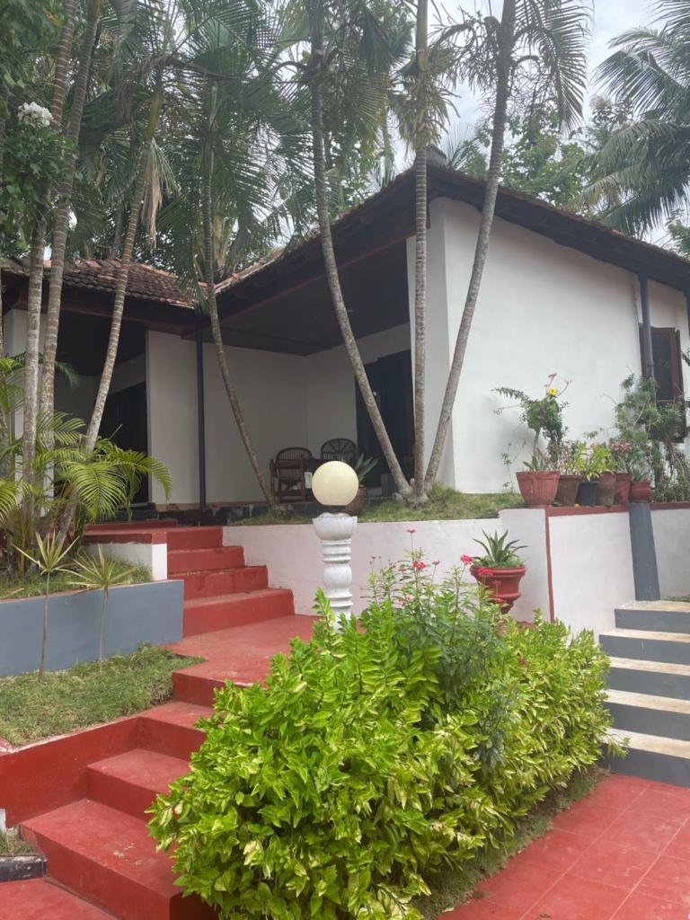 The village photo 2