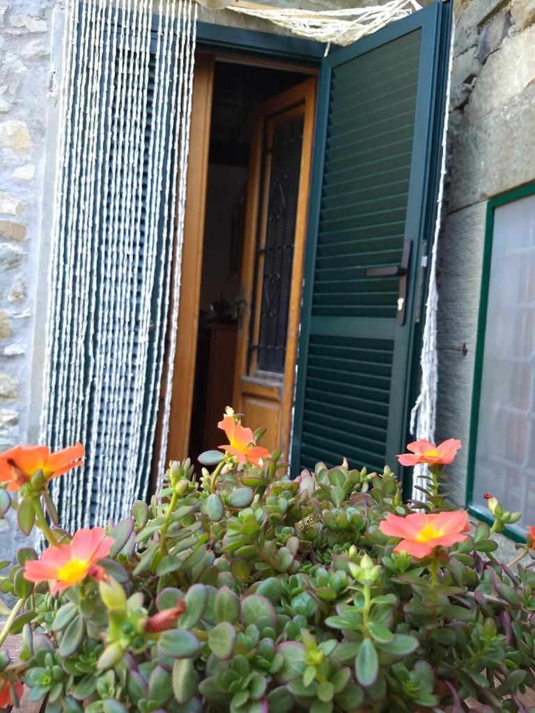 Casa nell'arco photo 3