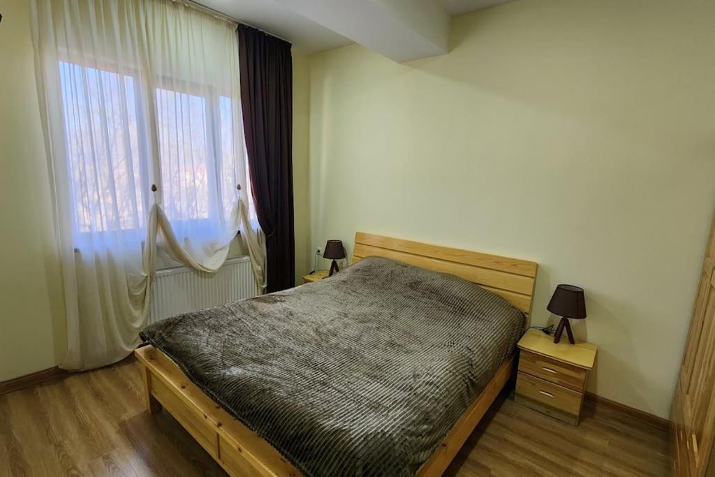 Cozy Home Bakuriani photo 2