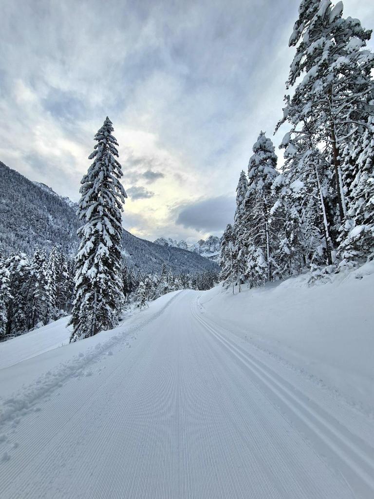 Chalet Camporosso photo 1