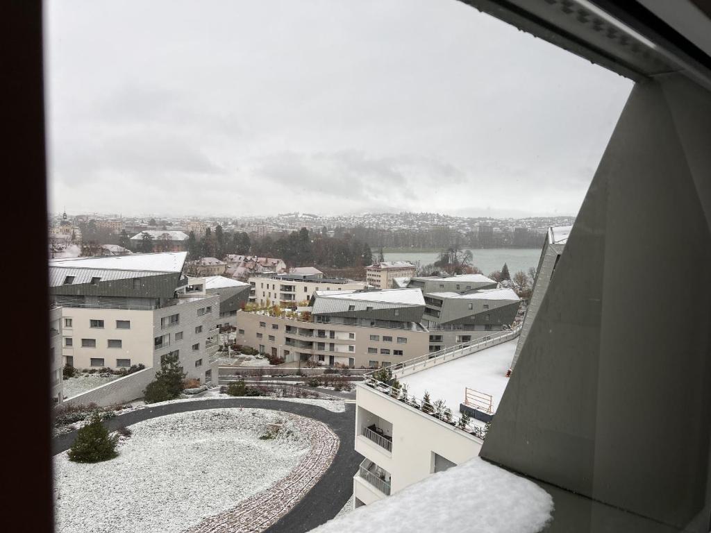 Le nid du lac d'Annecy photo 4