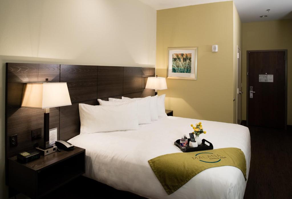 Malana Hotels & Suites image