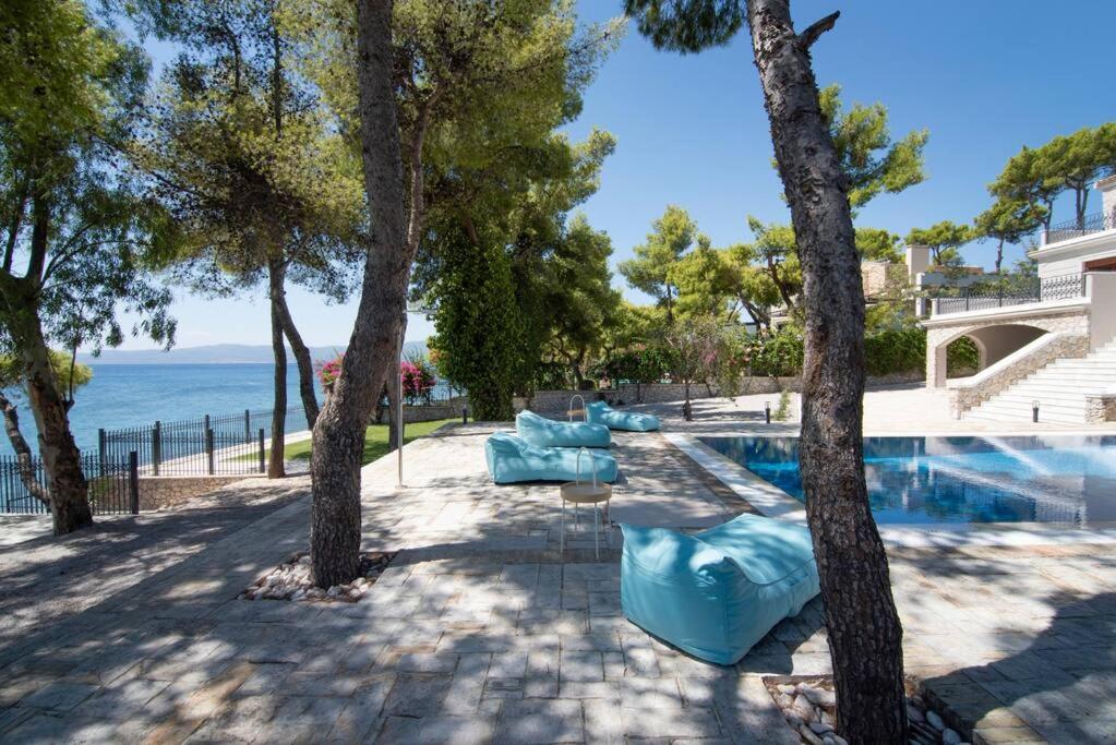 villa lion photo 1