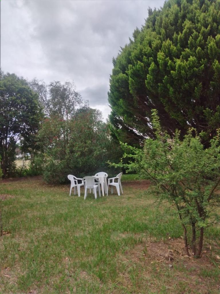 •JADE• Casas de alquiler photo 2
