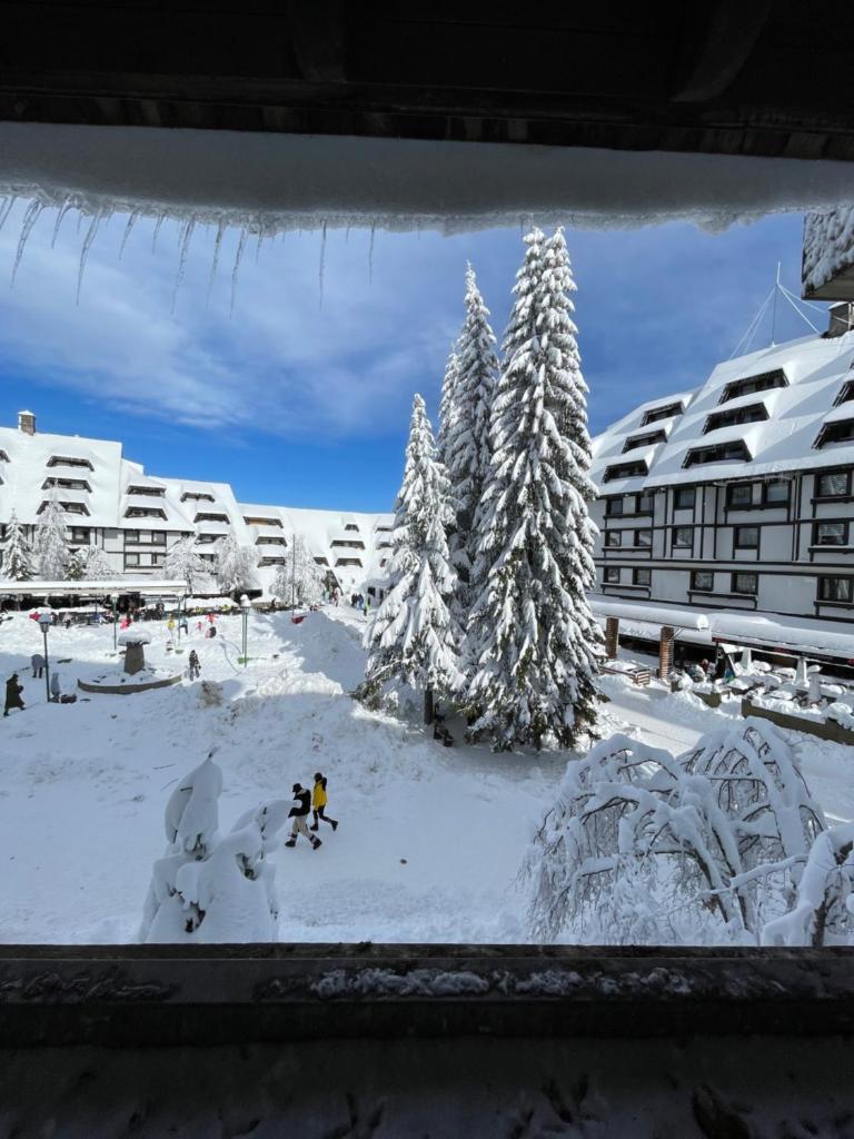 Apartments Konaci Kopaonik photo 4