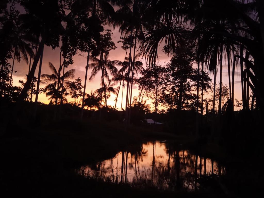Hotel Karupa Amazonas photo 3