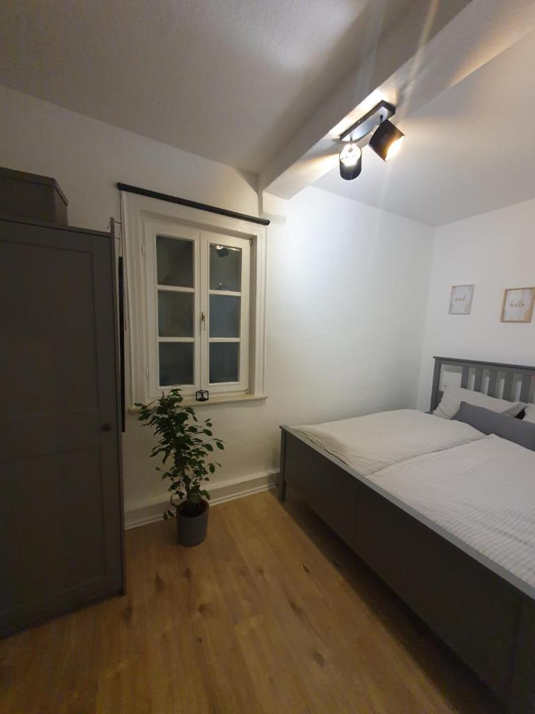 Modernes Apartment zentral photo 3
