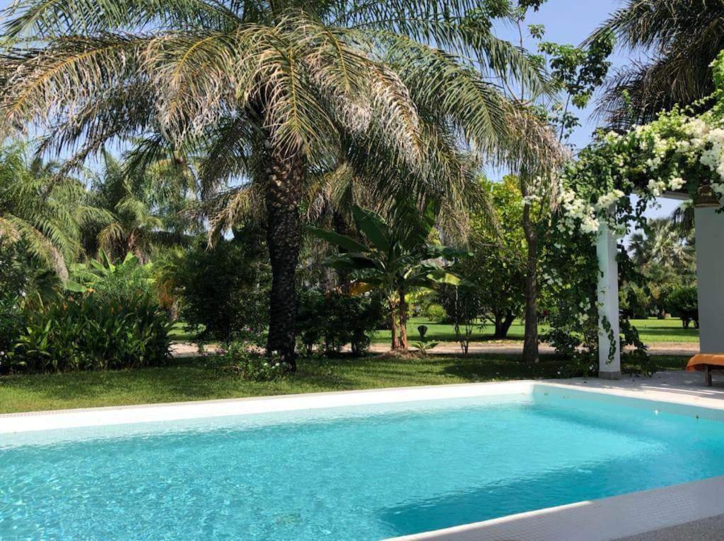 Villa CITRONS VERTS dans un parc arboré vue mer photo 4