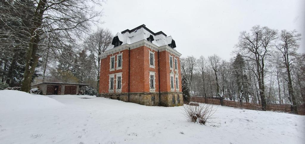 Vogtlandperle photo 2