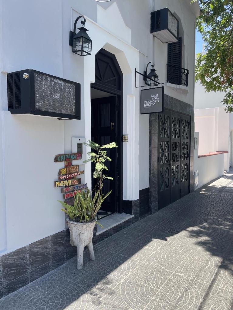 Mucho Bonito Hostel photo 1