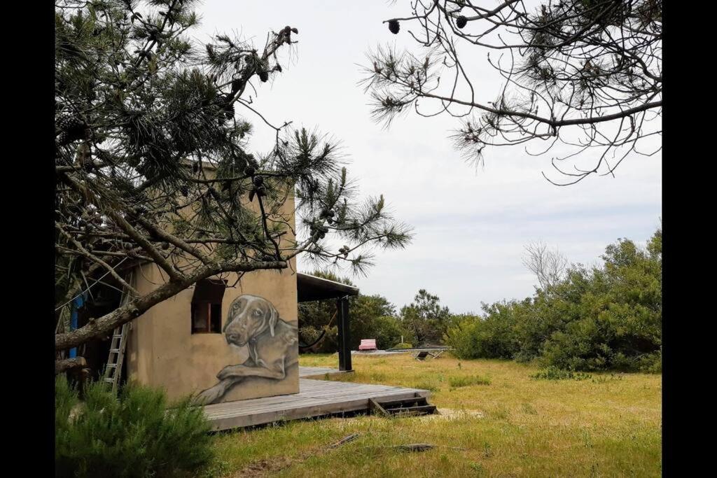 Tiny house y casa Parador de playa photo 3