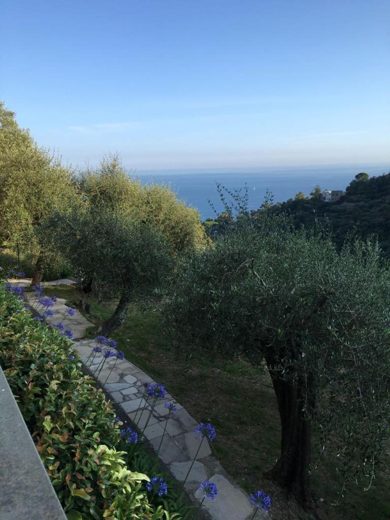 Seaside villa between Portofino and Cinque Terre photo 1