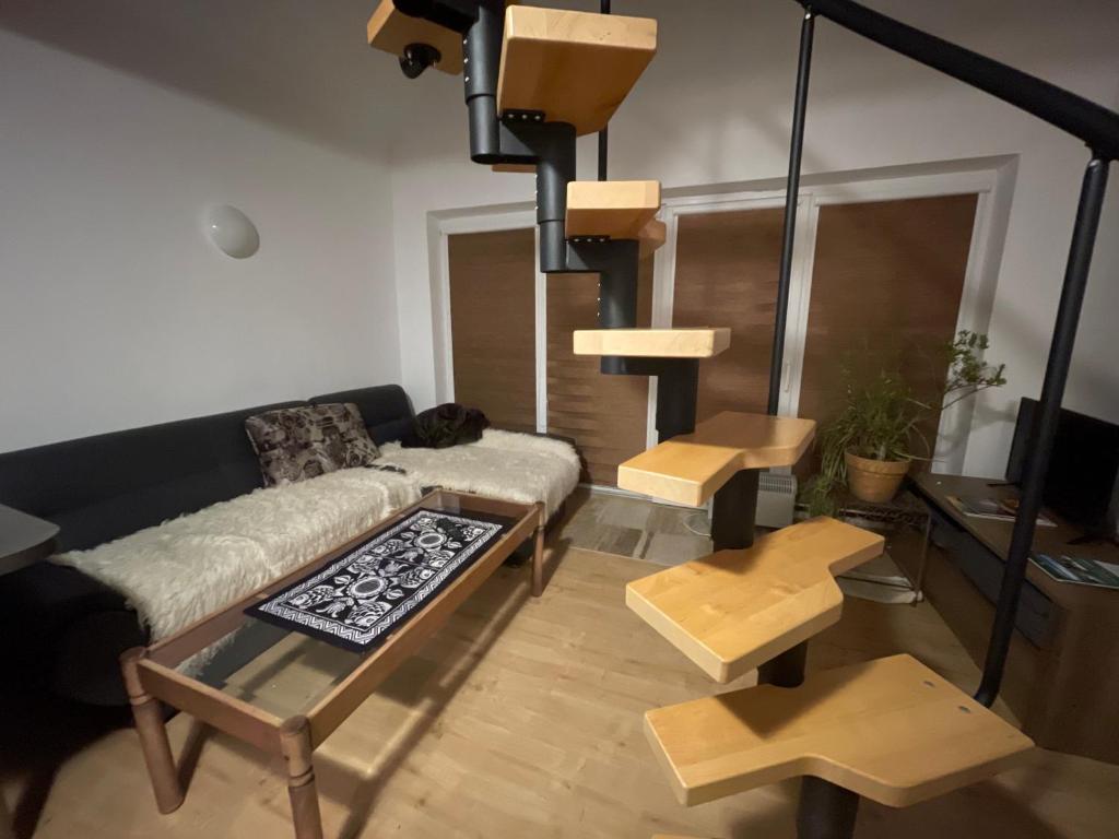 Hospoda-Ferienhaus am Olba-See photo 4