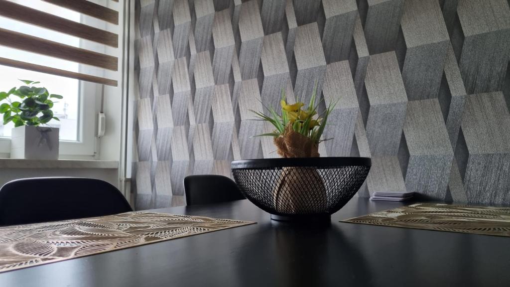 Apartman Lumi photo 4