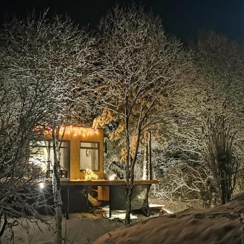 PASSION HUT photo 3