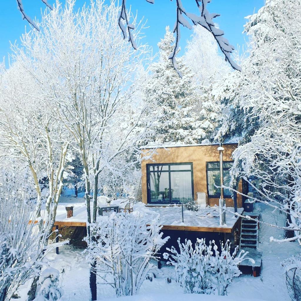 PASSION HUT photo 1