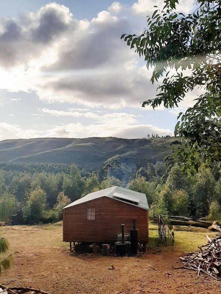 Diamond Vault Rustic Mountain Cabins photo 1