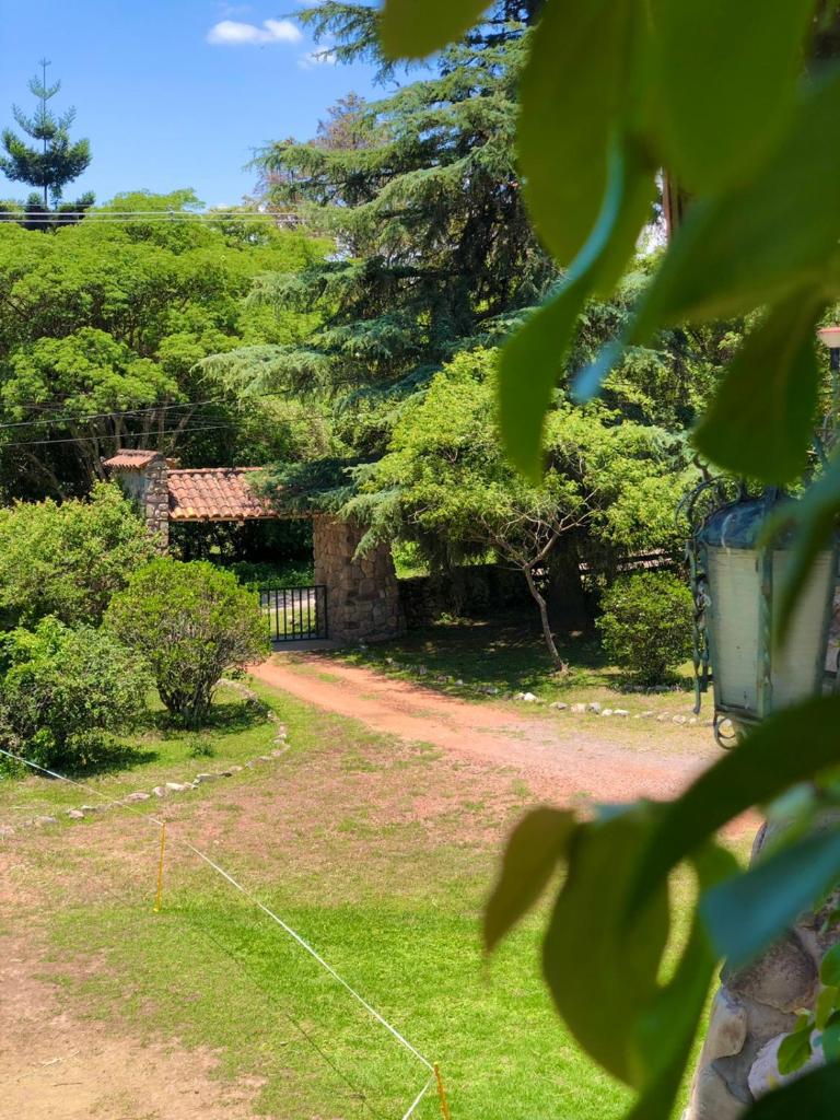Colibrí de la Quebrada photo 2