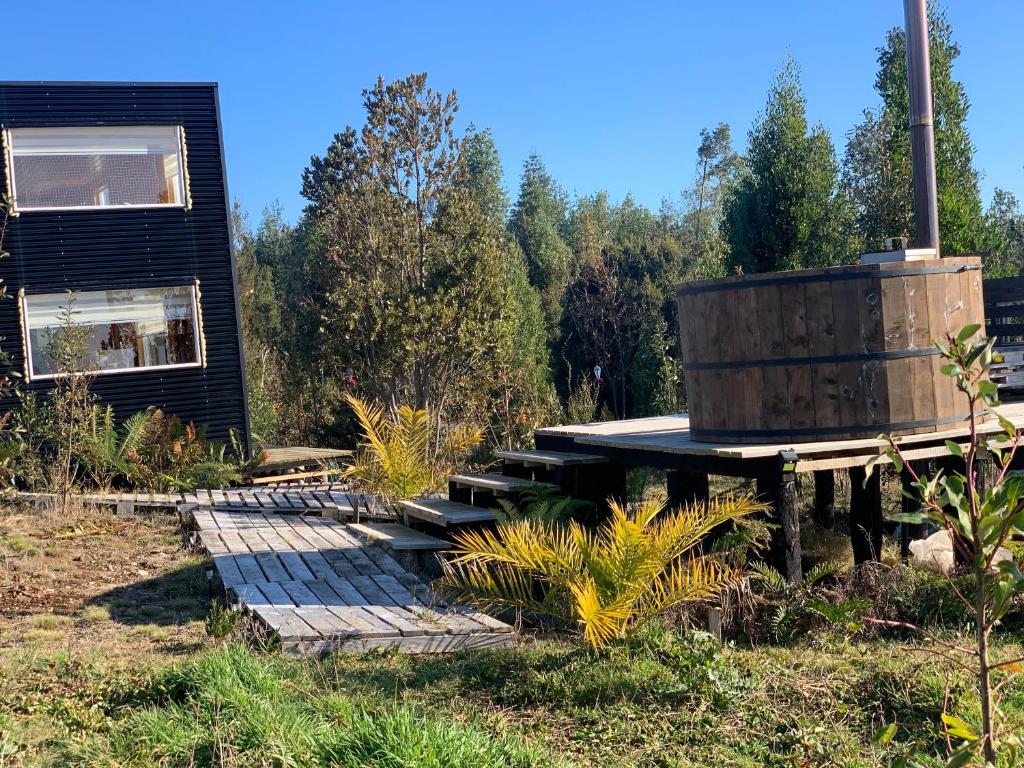 Tinyhousecolibri photo 3