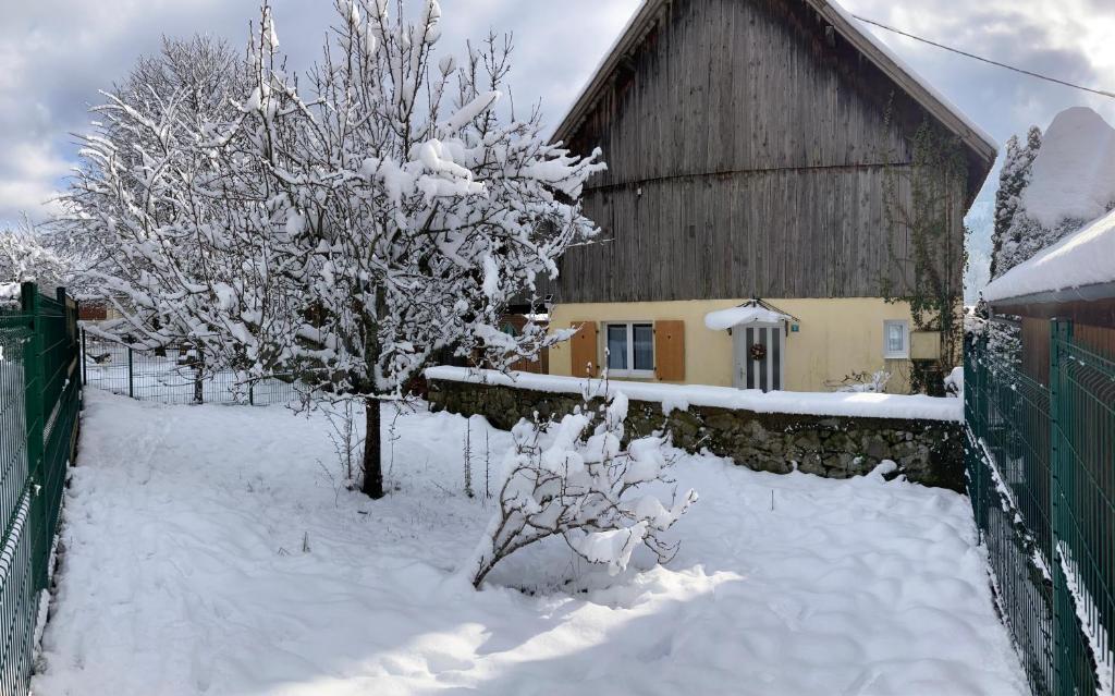 Gîte du Hibou - jolie dépendance sur verger photo 3