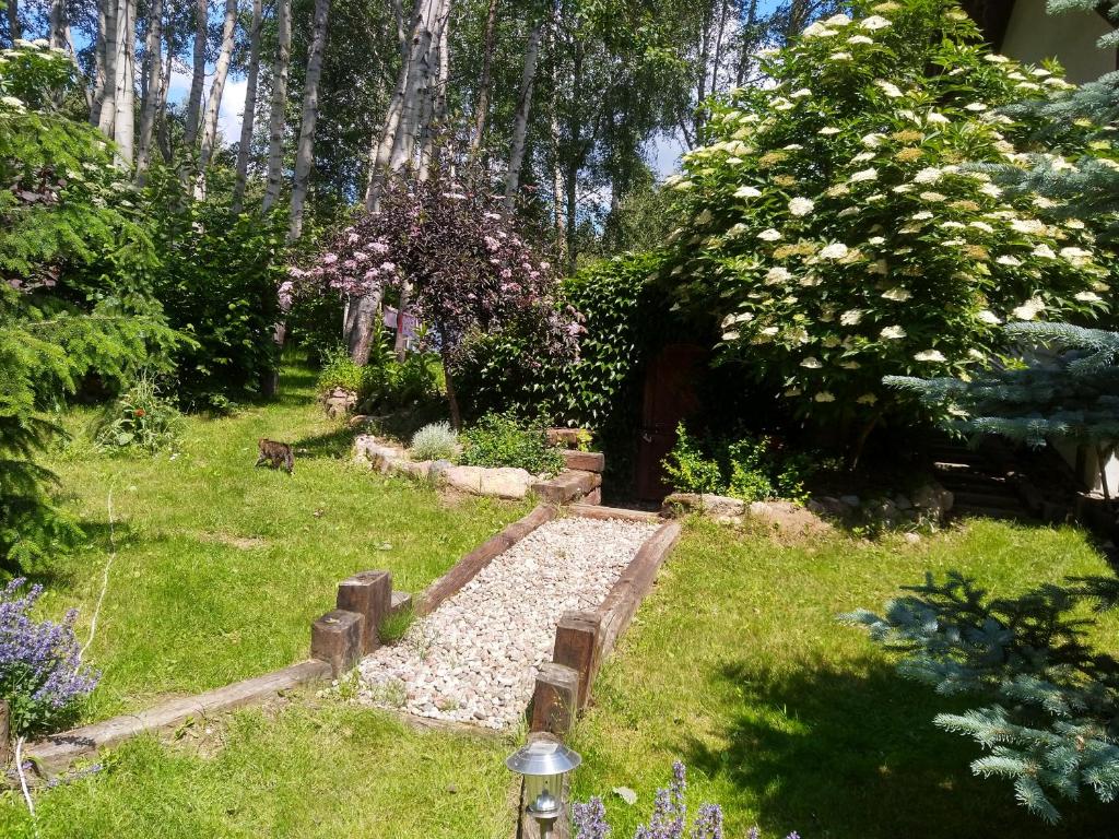 Leśna Polana photo 2
