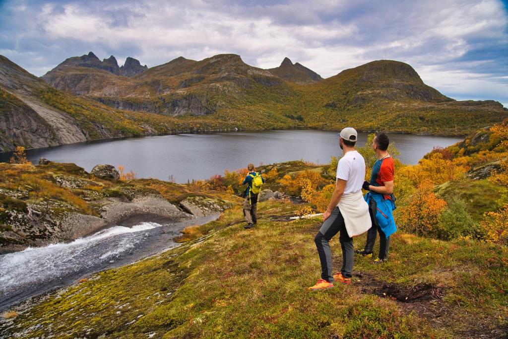 Lofoten Planet BaseCamp photo 4