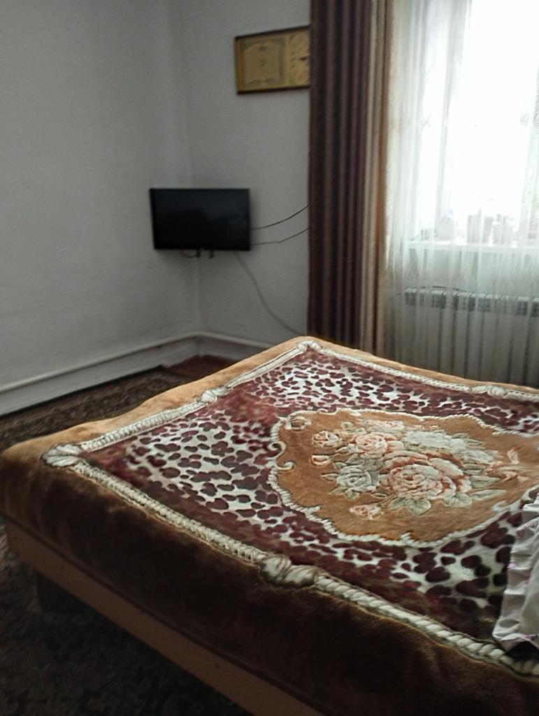 Guest house SONO adress Derbisheva 202 photo 4