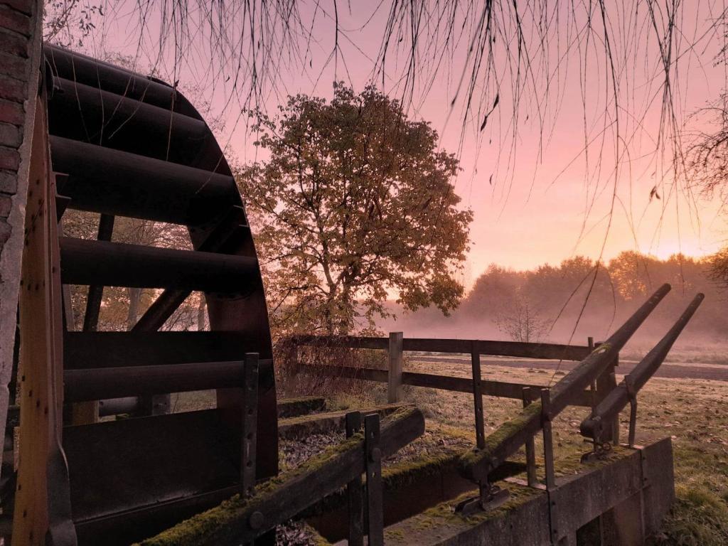 Vakantiewoning De Luysmolen photo 2