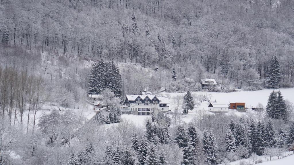 Waldhotel Schinkenwirt photo 1