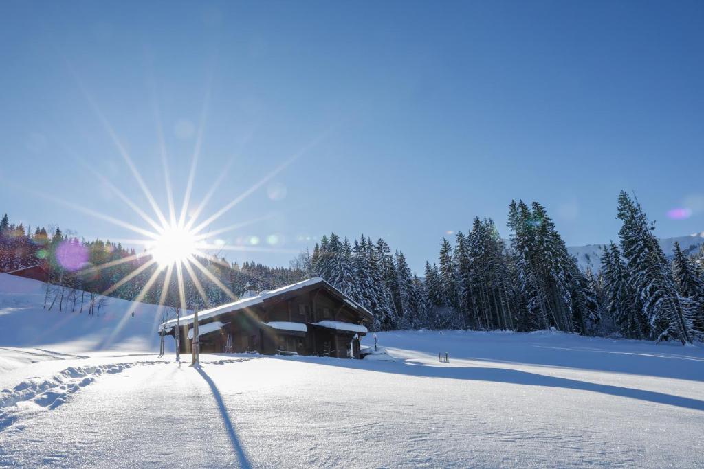 IMMOBILIER DE MONTAGNE - LA COLLECTION - L'alpage photo 1
