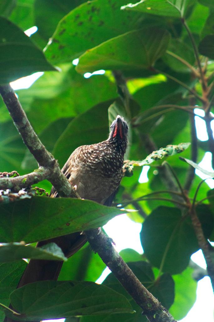 Green House Tarapoto photo 2