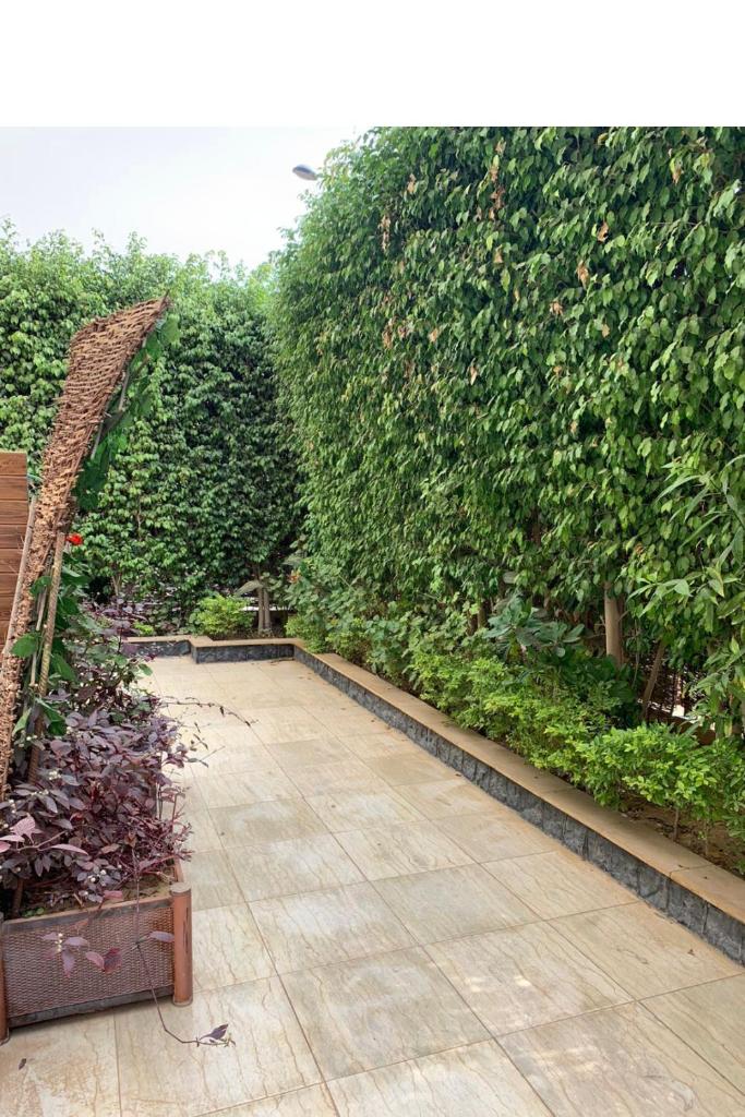 Ground Floor Studio With Garden photo 3
