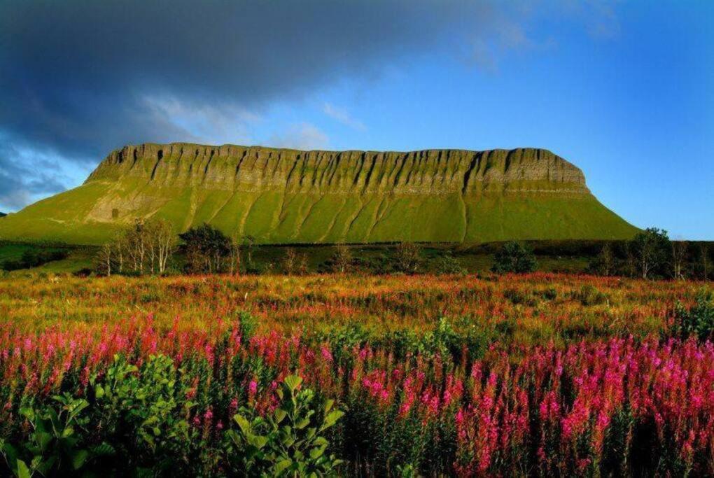 Fantastic City Centre Property in Sligo photo 1