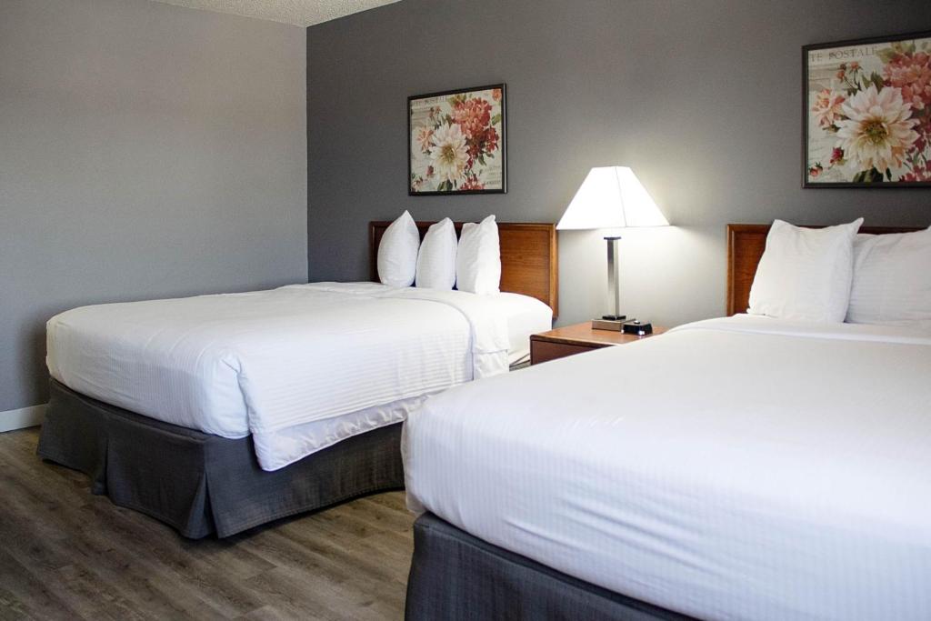 New Victorian Inn - Sioux City photo 2