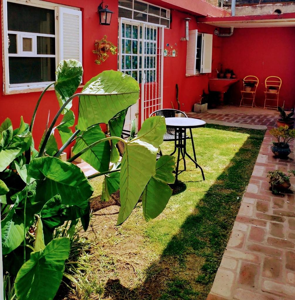 Casa Olivia photo 1