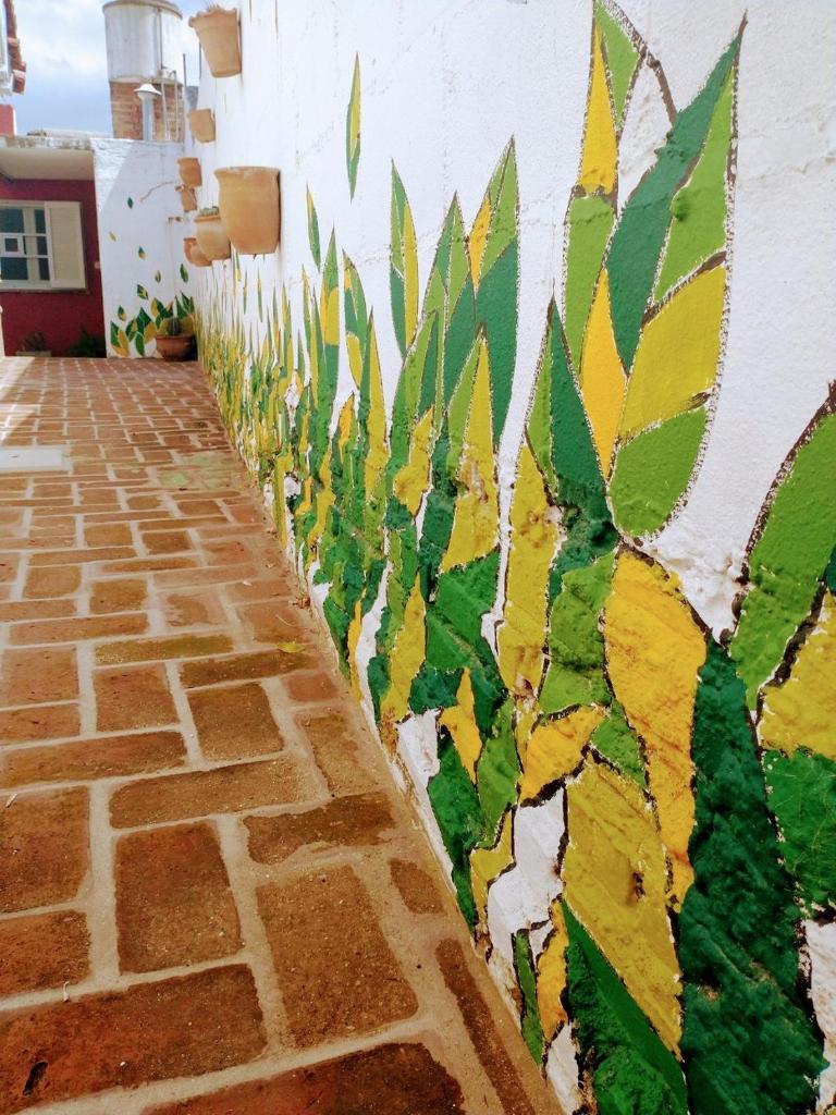 Casa Olivia photo 3