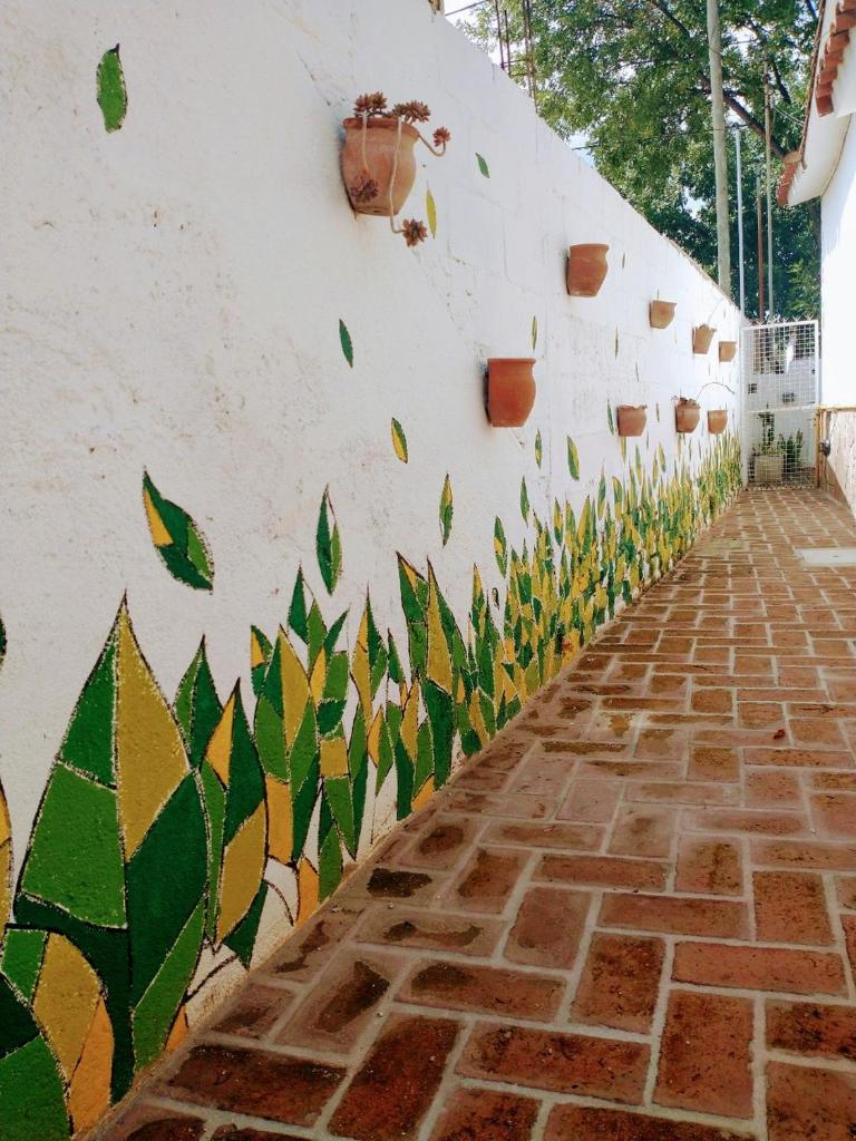 Casa Olivia photo 4