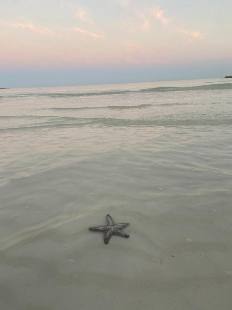 LaIsla Holbox Villa photo 3