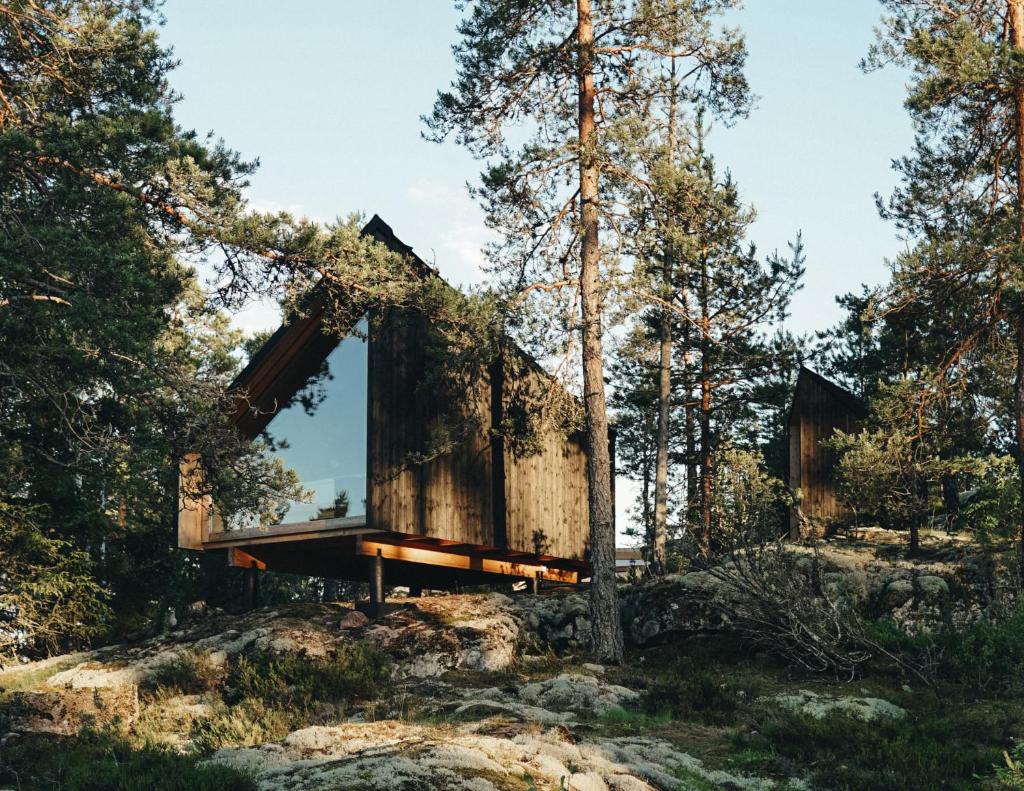 Hilltop Forest photo 2