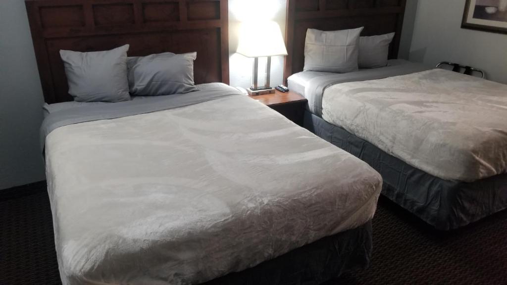 Hotel 2 Queen Beds Hotel Room 135 Booking image