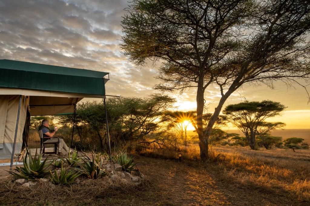 Serengeti Woodlands Camp photo 2