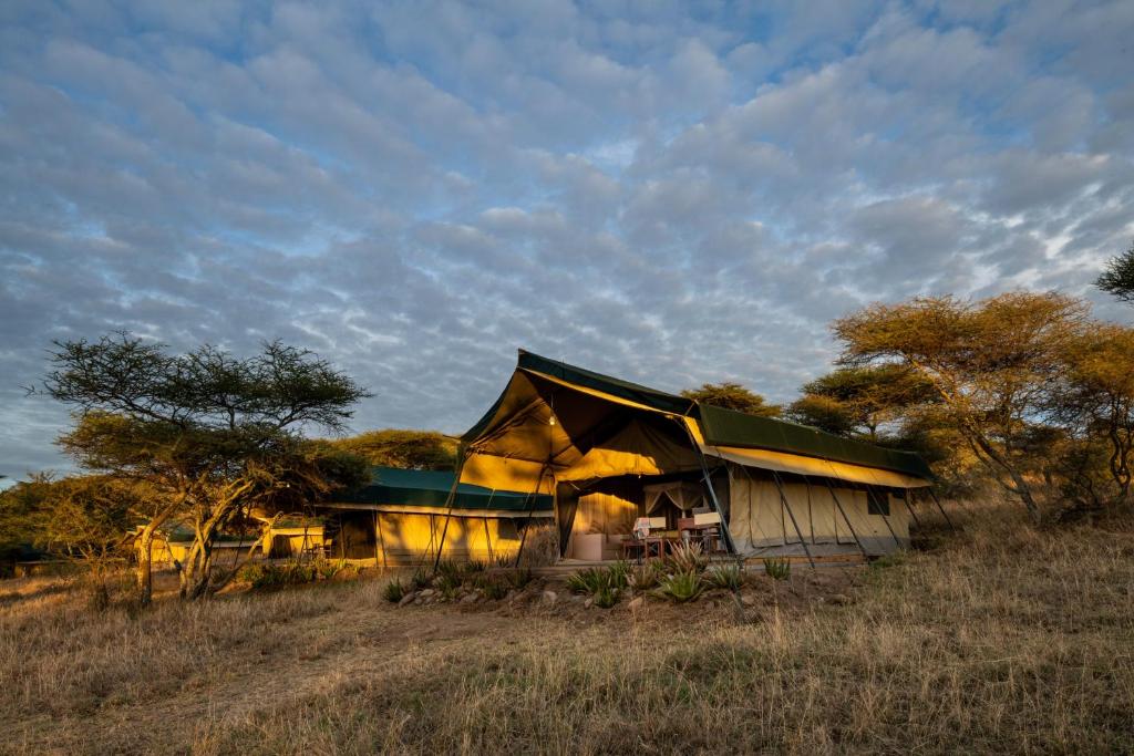 Serengeti Woodlands Camp photo 4