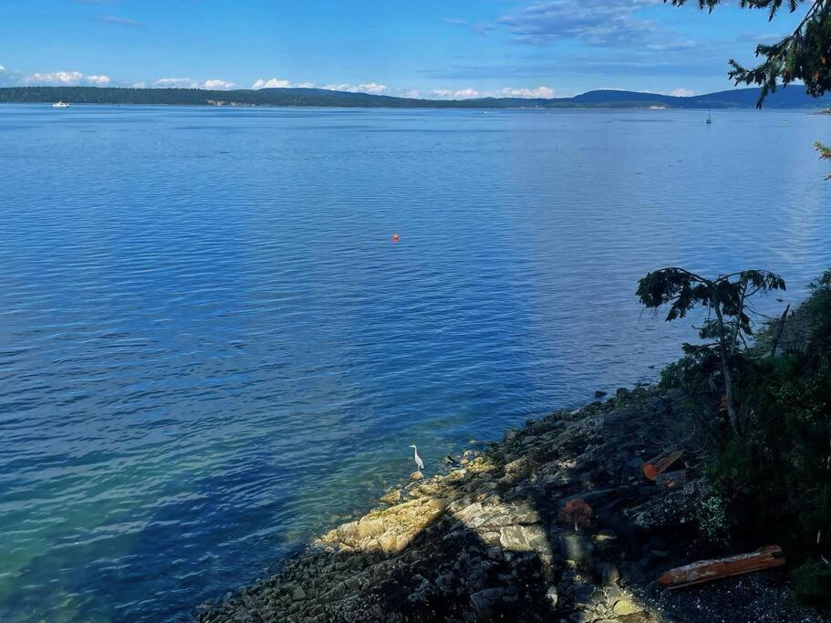 Vancouver Castle Waterfront with hot tub beach downtown photo 2