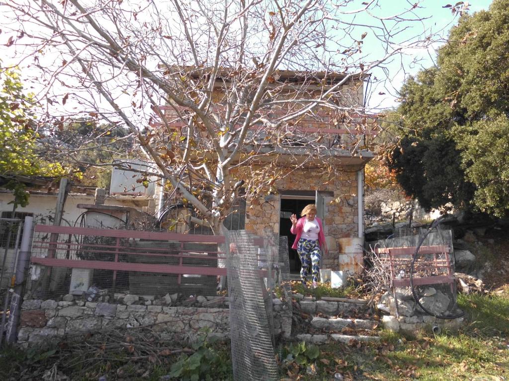 Οροπέδιο Καθαρού Κριτσάς- Αβελιακό photo 2