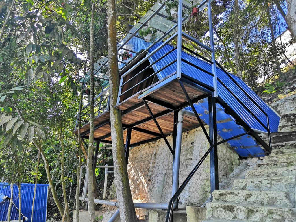 Orkid Chalet photo 1