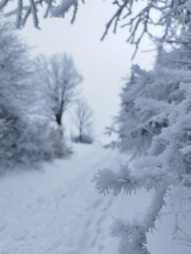 Penzion U Zpěváků photo 4