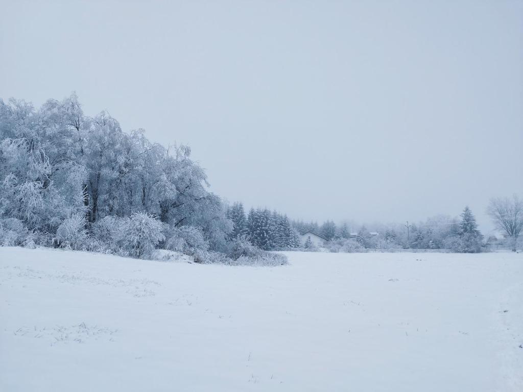 Penzion U Zpěváků photo 3