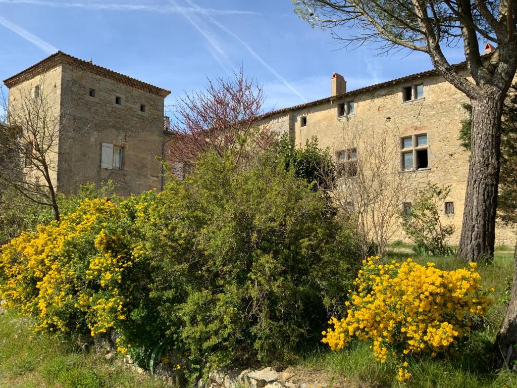 Château de Mézerville photo 1
