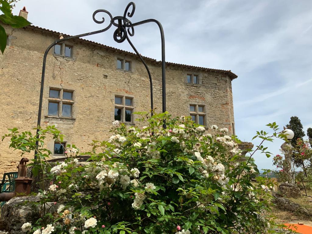 Château de Mézerville photo 3